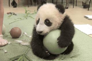 搞笑gif哥们你这结婚方式很简陋,搞笑gif趣图瞧你没出息的样子