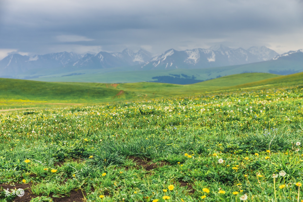 死宅怎么自救最有效,死宅如何变帅