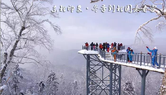 东北看雪旅游攻略哈尔滨,冬季到东北来看雪