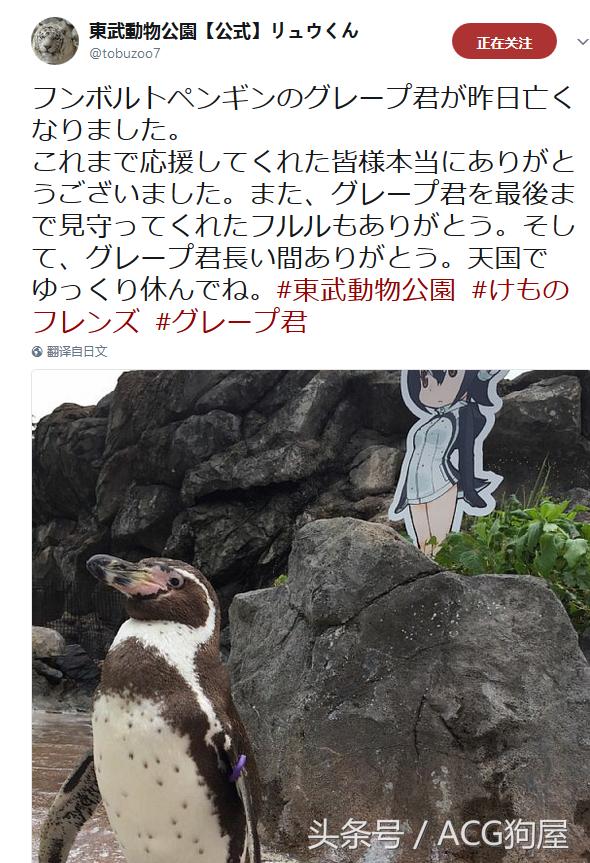 鍐嶈鎴戝幓浜屾鍏冧簡鏃ヨ,鍐嶈鎴戝幓浜屾鍏冧簡姊楀浘