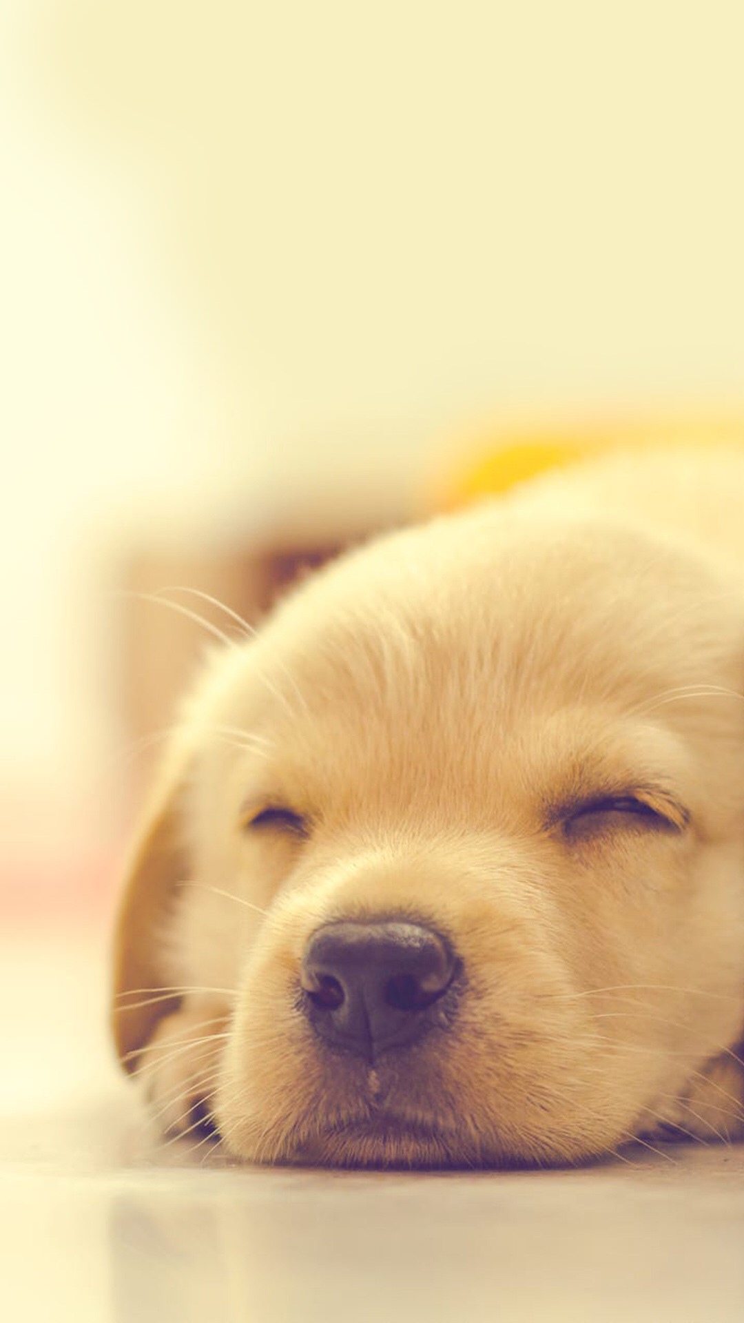 锁屏和桌面壁纸一套唯美,4k佛系唯美意境黑色锁屏壁纸