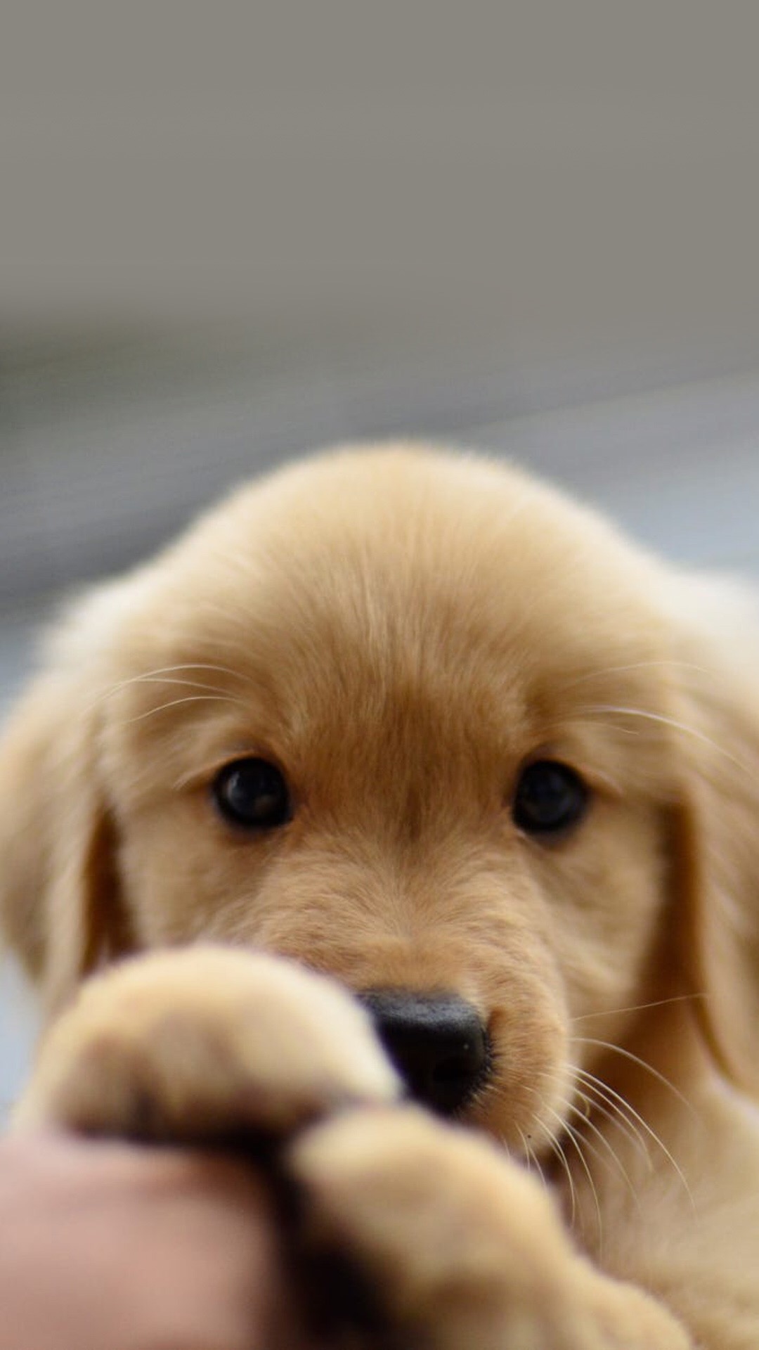 锁屏和桌面壁纸一套唯美,4k佛系唯美意境黑色锁屏壁纸