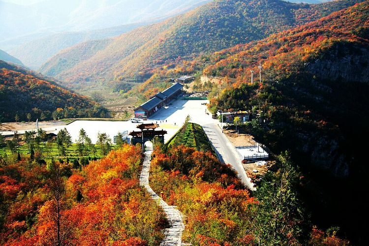 秋韵流过的晋城红