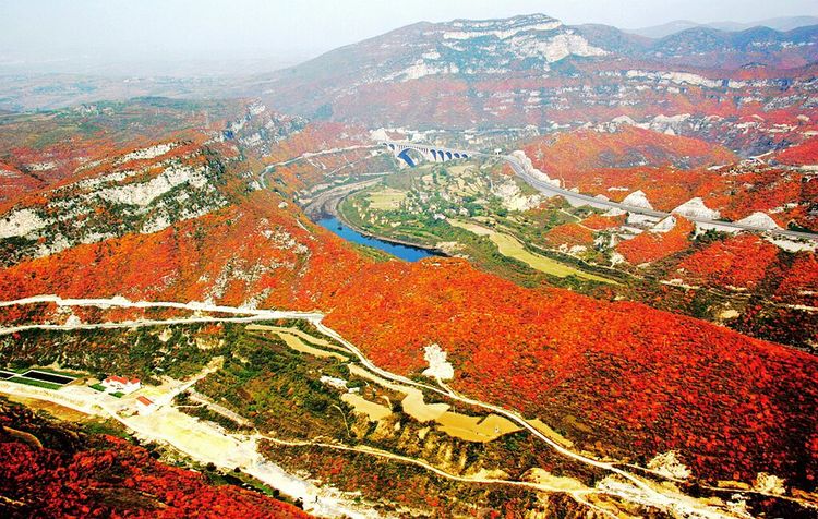 秋韵流过的晋城红