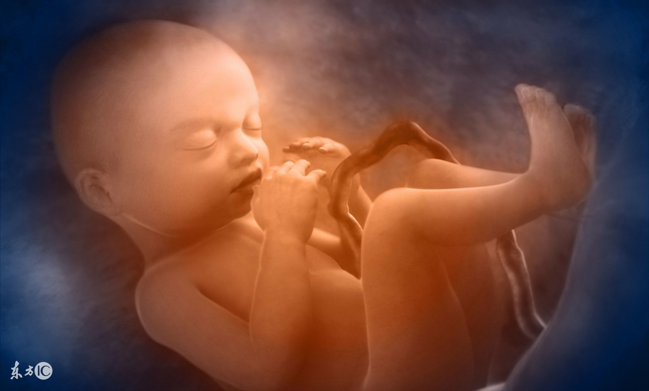 详细的产检项目时间，说说发现胎心胎芽的心情