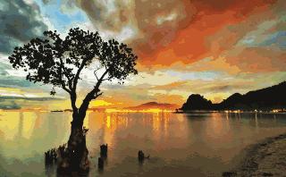 什么做不起来的人，永远在等待时机成熟