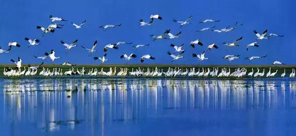 深圳高铁旅游路线分布图,深圳高铁能到达的旅游城市