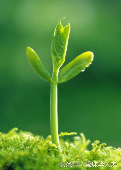 胎停流产后心理出现问题,胎停流产后抑郁怎么心理疏导