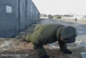 女人害怕老鼠的视频,真的害怕老鼠吗