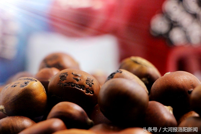 励志哥乞讨月入过万,励志哥一年收入