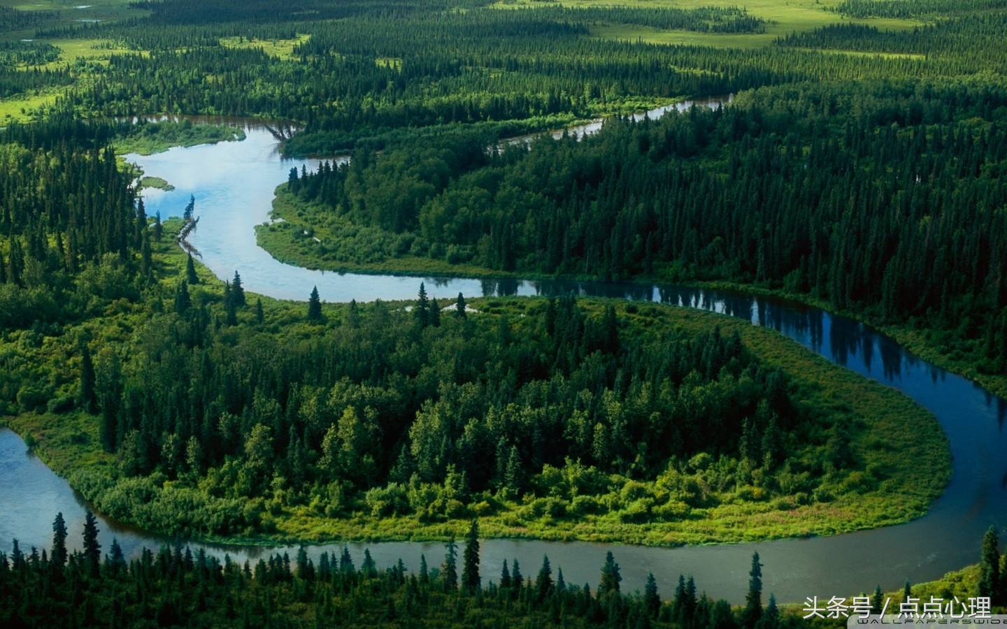 绿色性格,绿色性格人