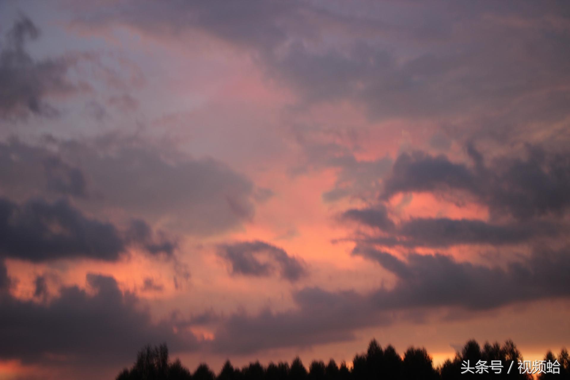 那一年花好月圆，爱若成佛恨必成魔之湛江雷州《石狗传》结局