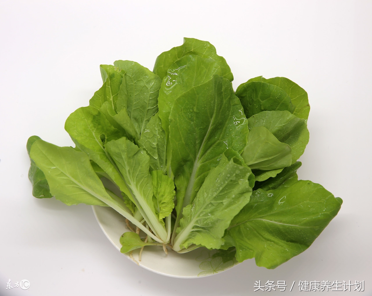 百菜不如白菜,白菜应该怎么吃,它的营养价值怎么样