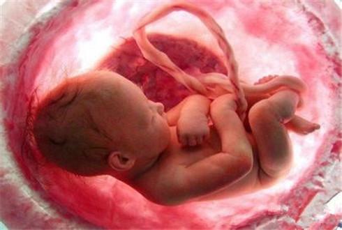 怀孕前五到七天有什么症状,怀孕第6周有哪些症状