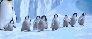 东北看雪旅游攻略哈尔滨,冬季到东北来看雪