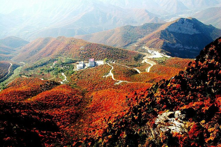 秋韵流过的晋城红