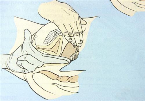 生孩子开十指有多痛,生孩子开十指有多可怕