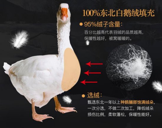 生活不会辜负每个拼命努力的人,每个努力生活的人值得被生活犒赏