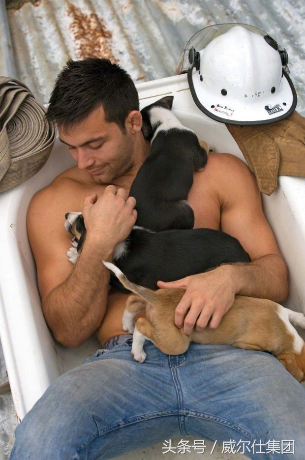 澳大利亚消防员的日历,2024澳洲消防员月历