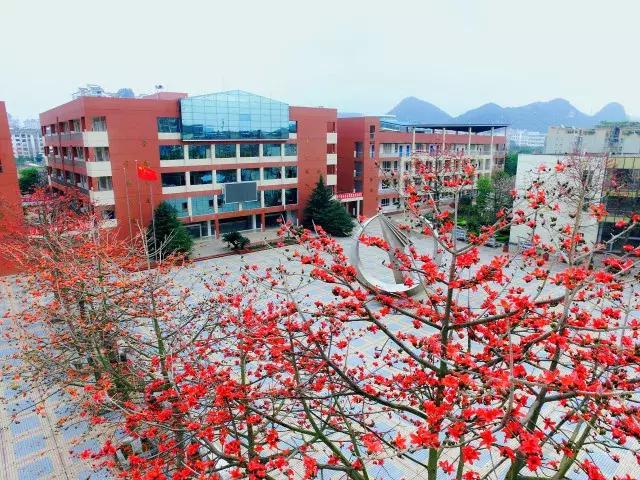 柳州市第十二中学农志勋,柳州市第十二中学许尧