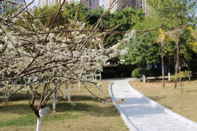 柳州市第十二中学农志勋,柳州市第十二中学许尧