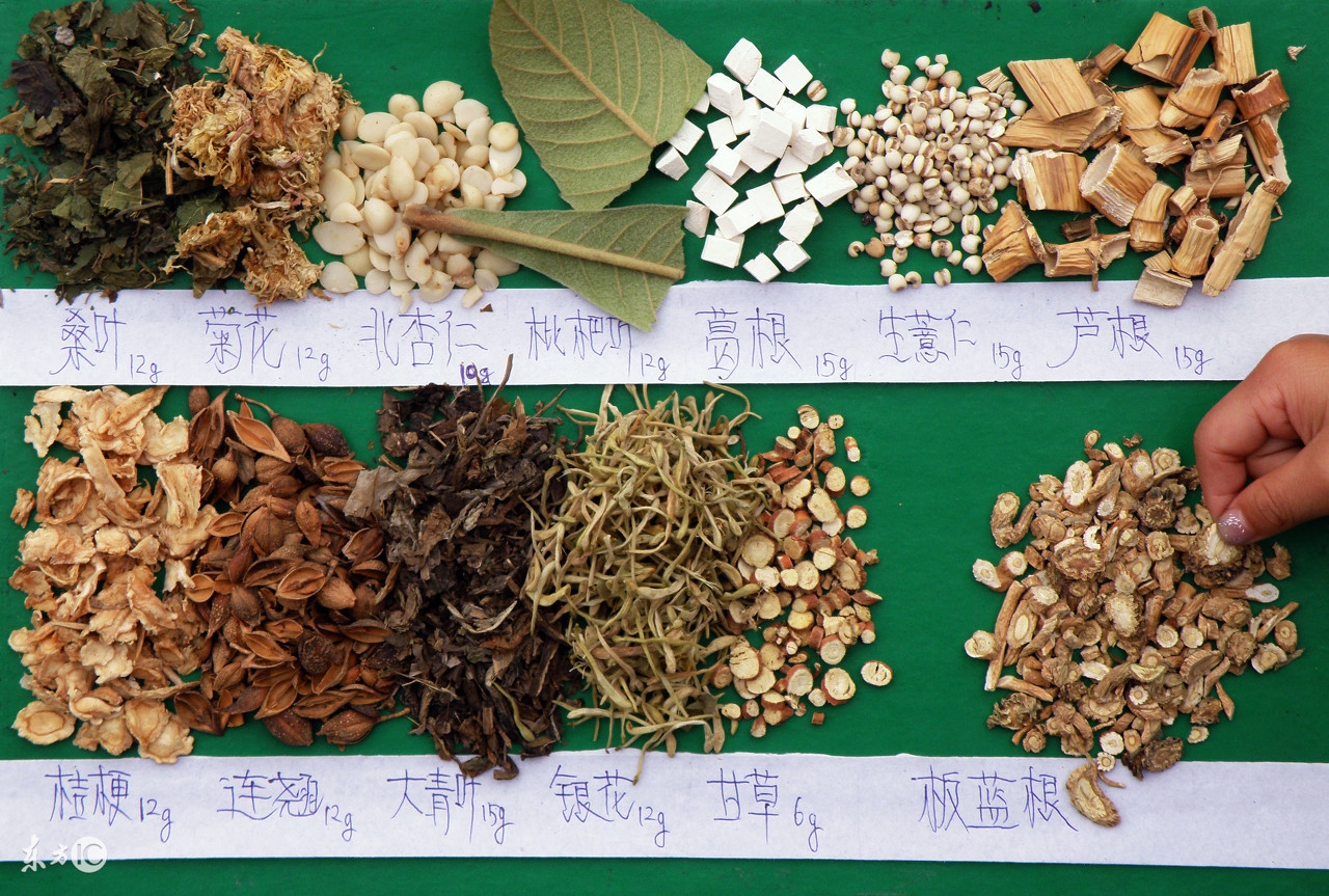 中药原料涨价,中药五味子涨价