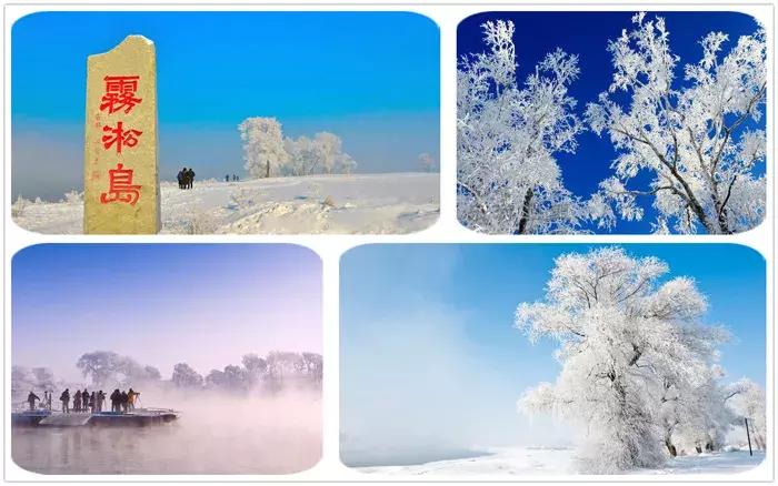 东北看雪旅游攻略哈尔滨,冬季到东北来看雪