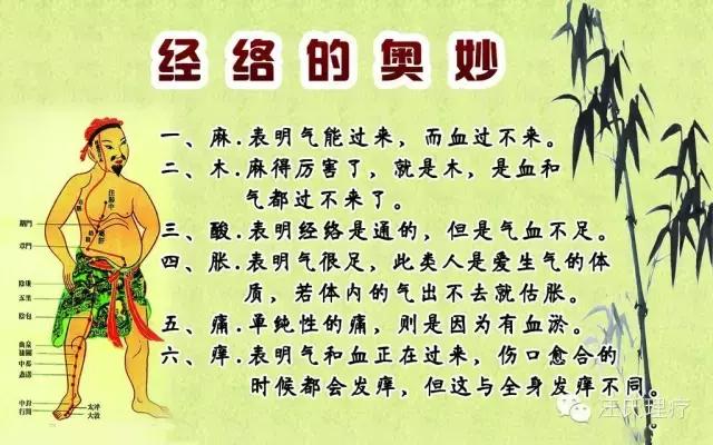经络堵了怎么疏通人体经络,经络一通瘀血一散百病消