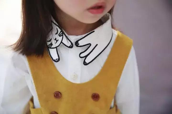 大广东的秋天,广东终于有了入秋的感觉