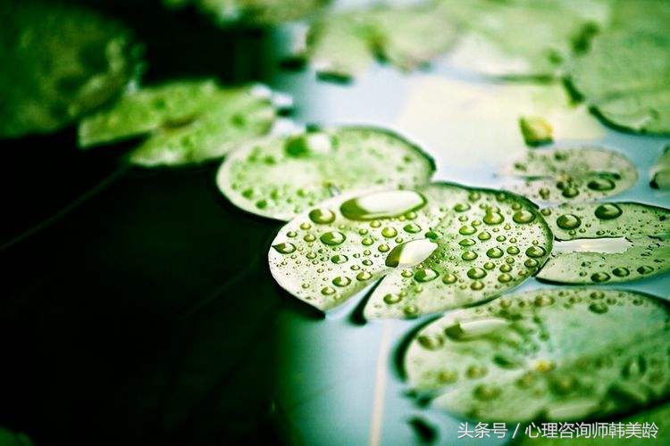 强迫症康复亲身经历,我的强迫症自我治愈