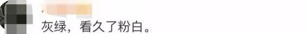 你看到的是灰绿还是粉白,你看到的是绿灰还是粉白