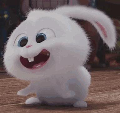 2023高淳国际慢城马拉松赛,高淳国际慢城马拉松多少钱