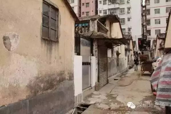 白石洲塘头村要拆迁吗,南山白石洲塘头村租房