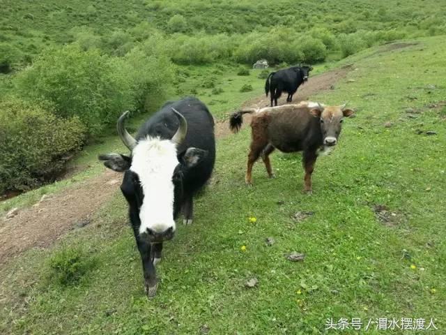 人迹罕至的风景,人迹罕至的神秘美景