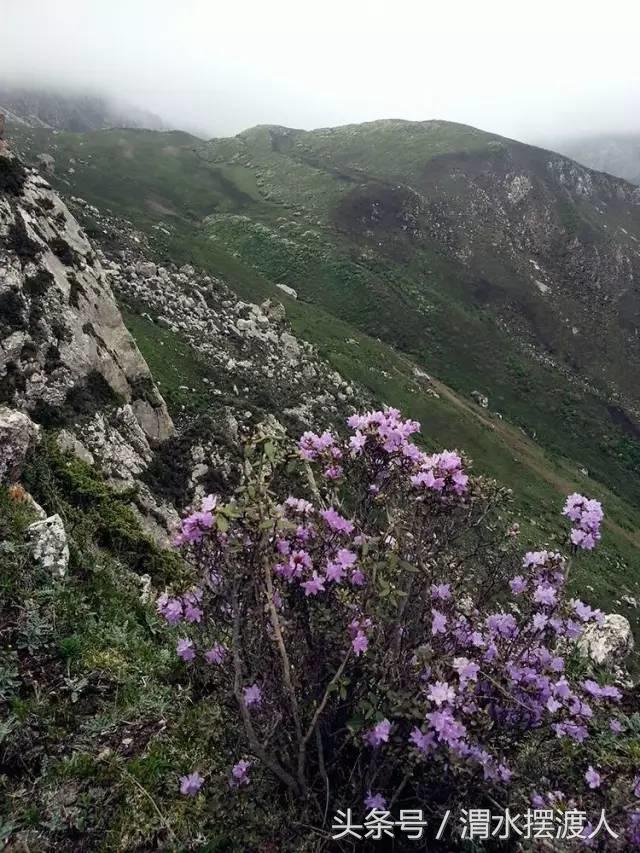 人迹罕至的风景,人迹罕至的神秘美景