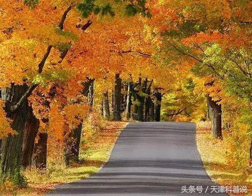 预防秋季常见病的反思,秋季幼儿常见病及预防