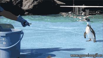 笑话大全爆笑开心一刻幽默笑话,幽默笑话大全笑到肚子疼搞笑段子