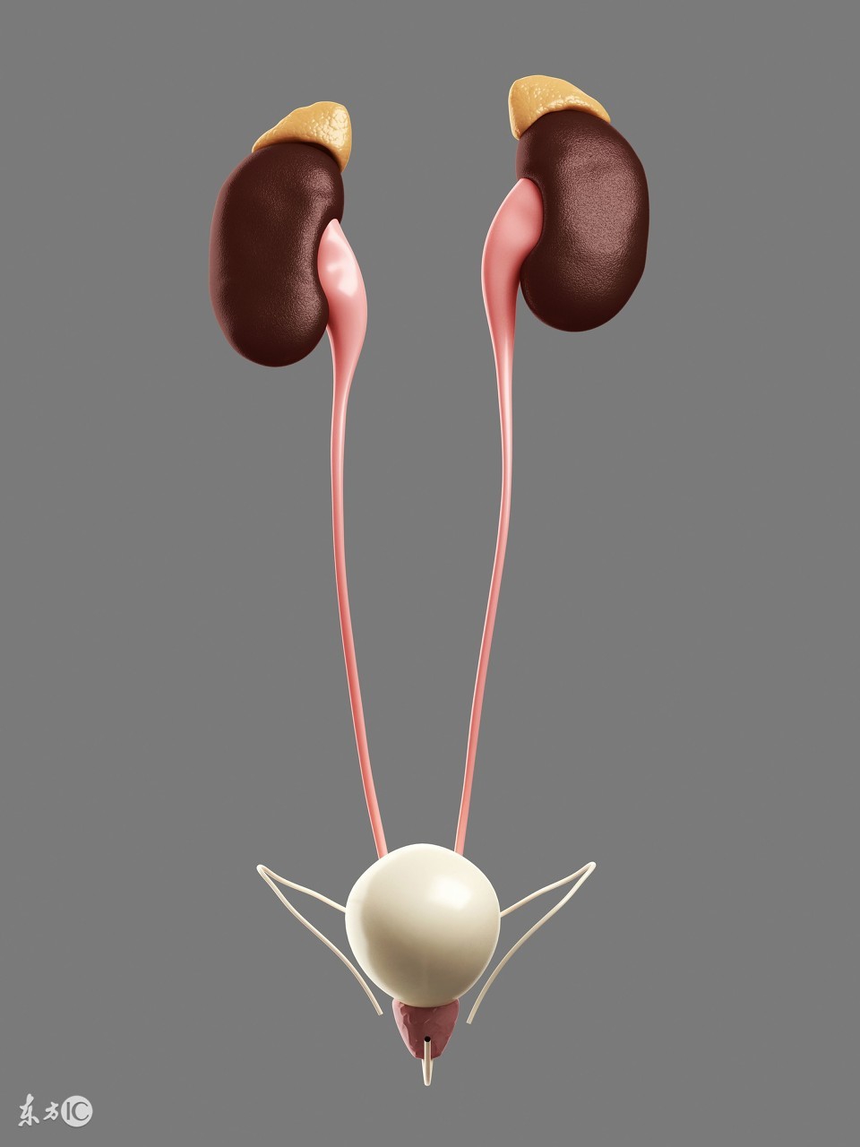 什么医院能治黑尿病,黑尿病可以治愈吗