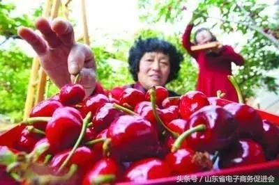 农村电商发展亮点工作总结,山东省农村电商模式