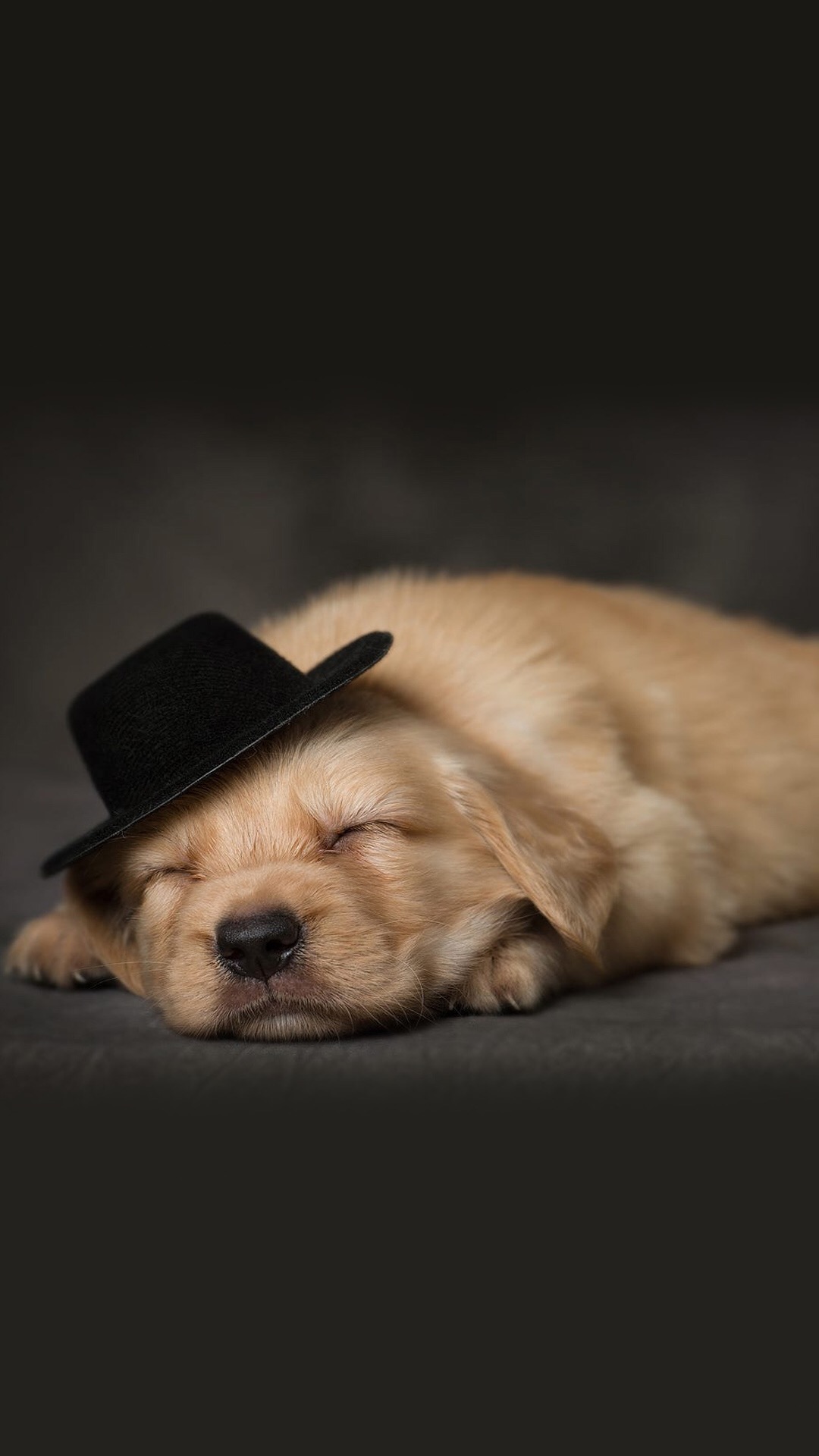 锁屏和桌面壁纸一套唯美,4k佛系唯美意境黑色锁屏壁纸