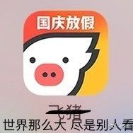 双11淘宝成了截肢工具支付宝成六位数密码两位数余额?