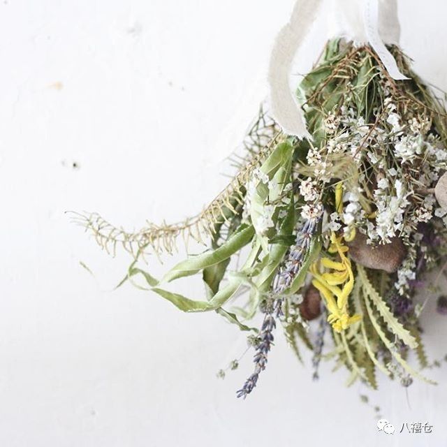 干花和假花有什么区别呀,干花品种及图片大全