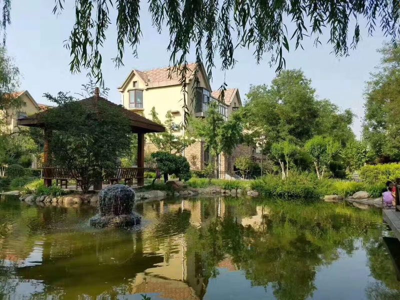 新乡郊区还有卖别墅吗,新乡买房子哪里的比较好