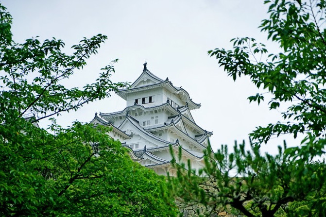 日本的神户牛肉,日本大阪环球影城奈良的鹿