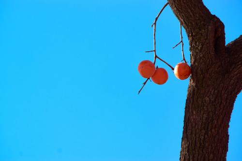 考研心路历程分享,考研成功分享及经验