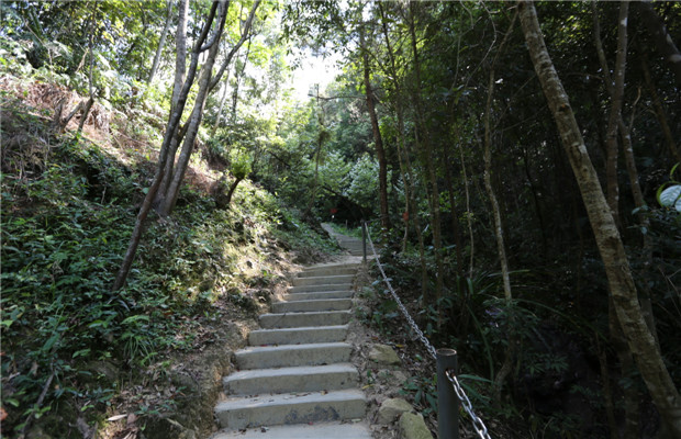 广东韶关新丰温泉推荐,广东韶关冬天旅游