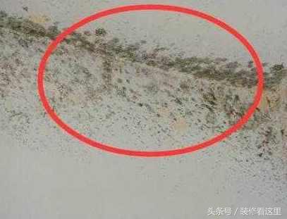 新房装修墙面起毛,室内墙长黑毛怎么处理