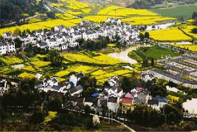 2023高淳国际慢城马拉松赛,高淳国际慢城马拉松多少钱