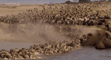 看哭!亲爱的游客,那个为你们服务的领队,是我最爱的妻子,请对她好一点