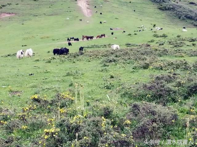人迹罕至的风景,人迹罕至的神秘美景